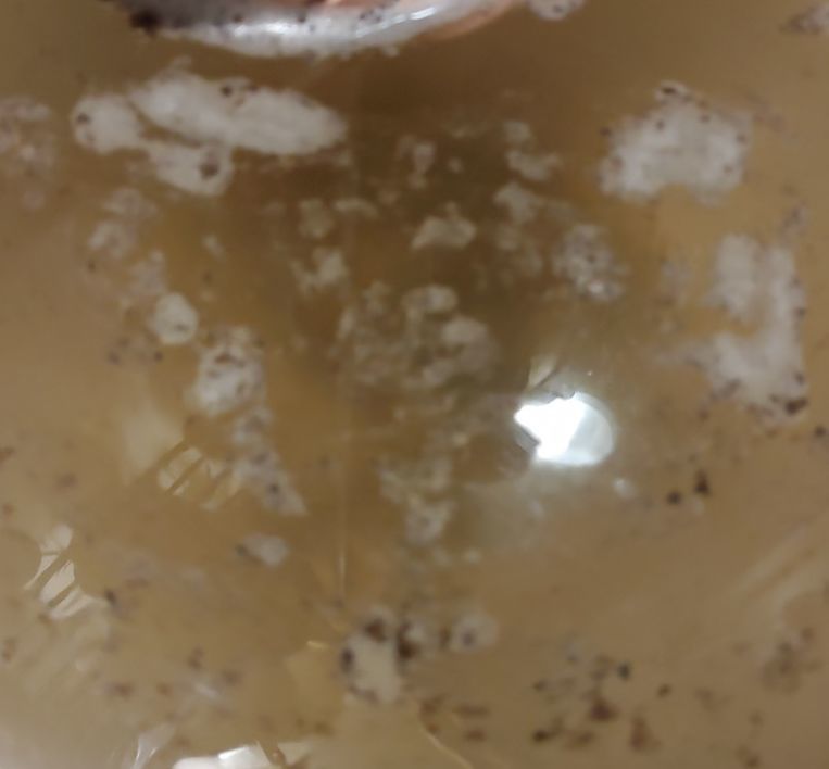 Customer photo review of Capsule Washer Cleaner