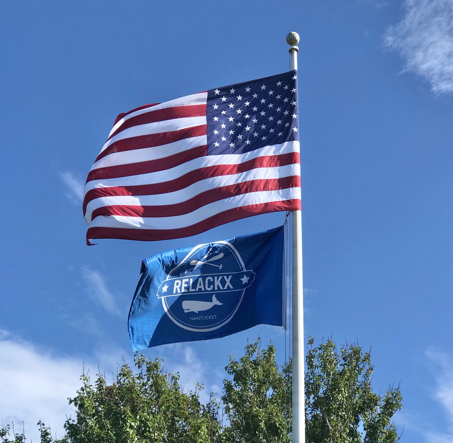 Customer photo review of Custom Standard Flags