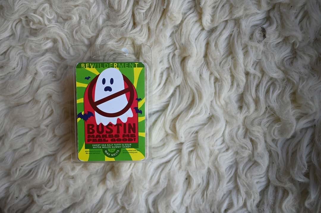 Customer photo review of Bustin Makes Me Feel Good! Wax Melts