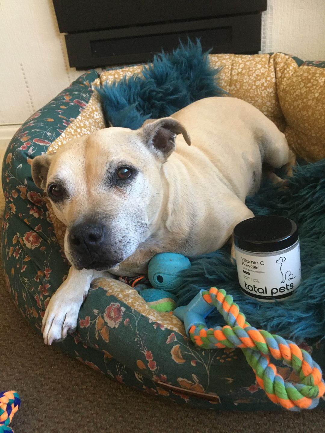 Customer photo review of Vitamin C Powder For Dogs