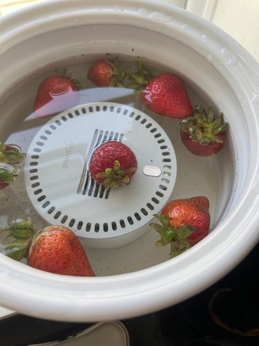 Customer photo review of Garrnish Pesticide Purifier 2.0