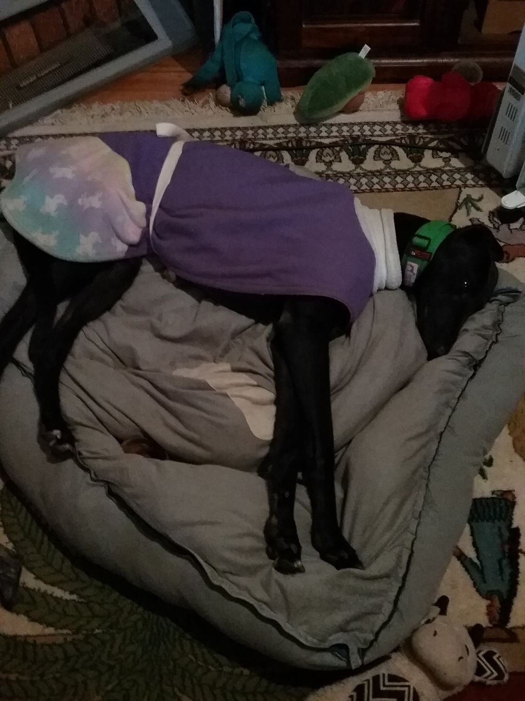 Customer photo review of PaWz Dog Bed