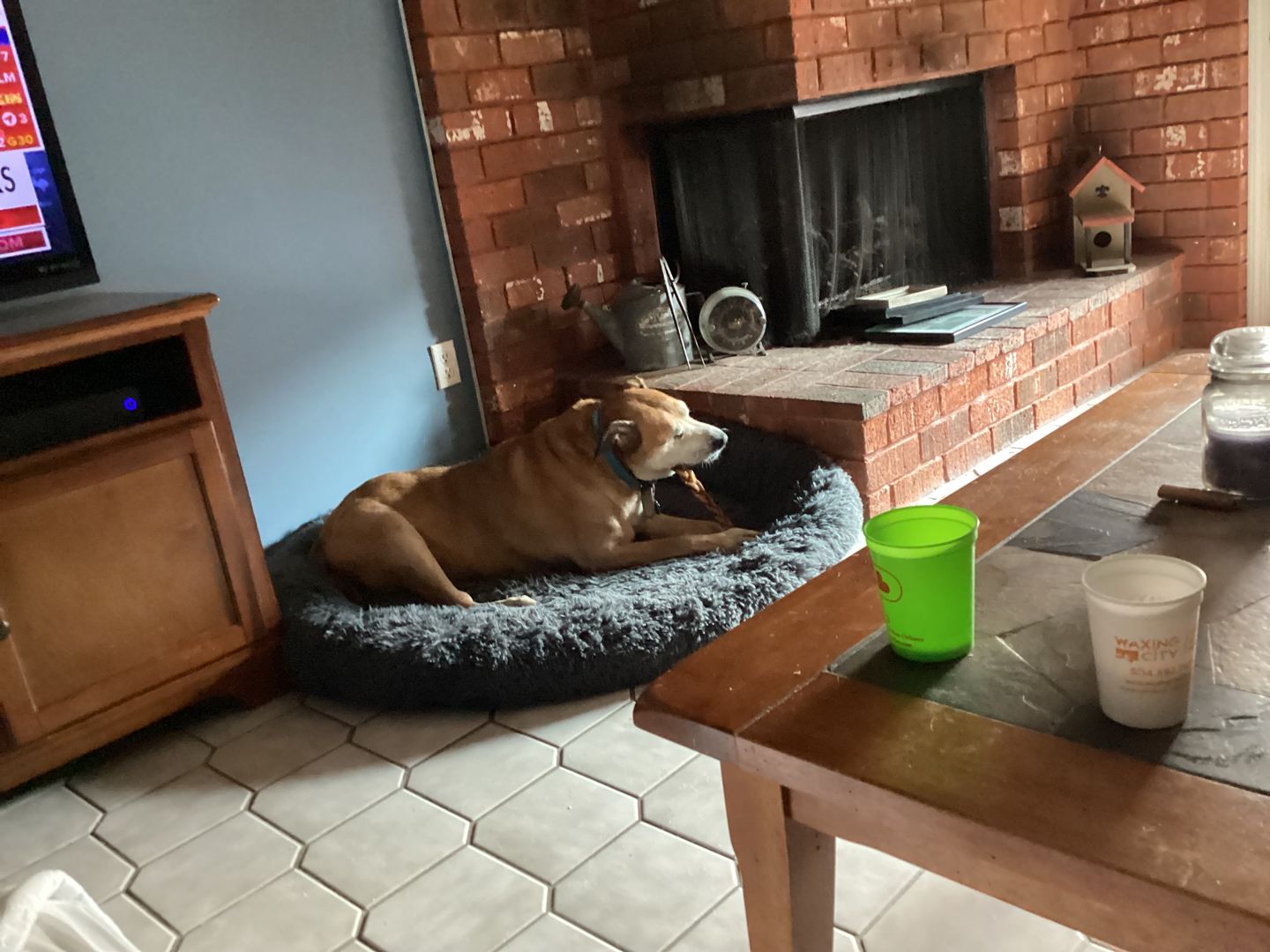 Customer photo review of 12 Inch Braided Jerky Stick