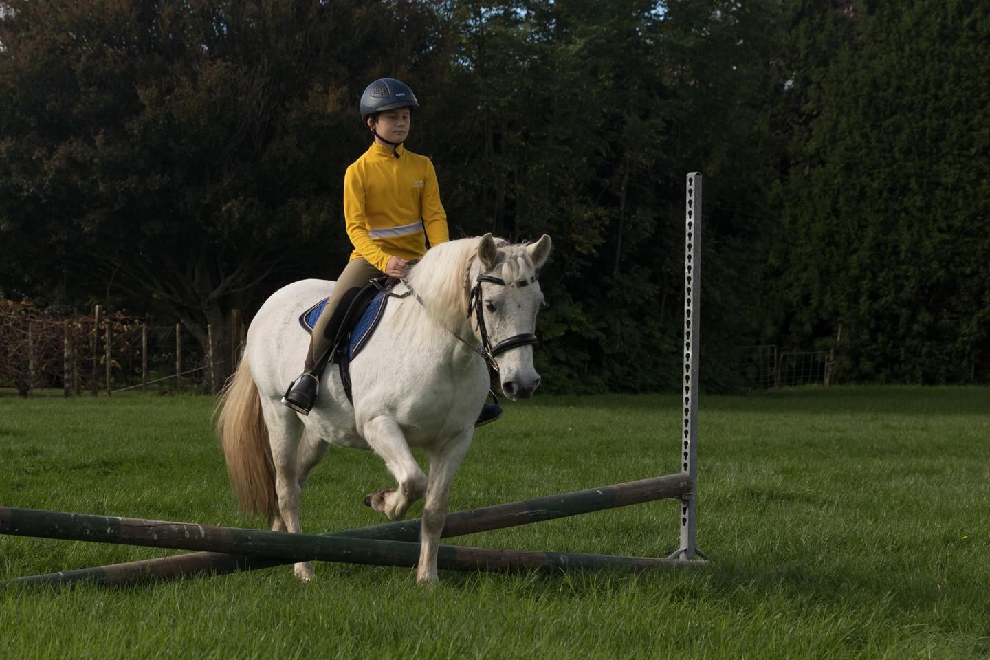 Customer photo review of Digestive VM - Equine Minerals & Vitamins