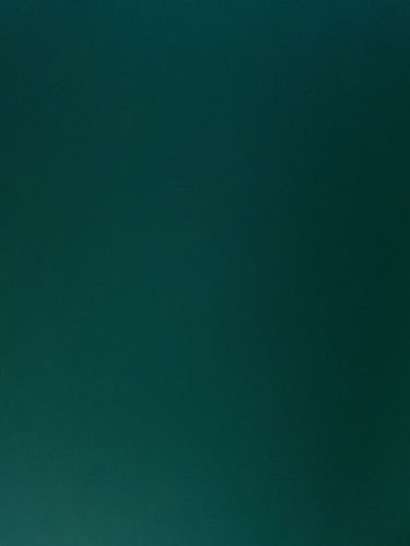 Customer photo review of WL x BadBunny SoFi Exclusive Merch Hoodie