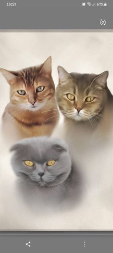 Customer photo review of Öl Pawtrait