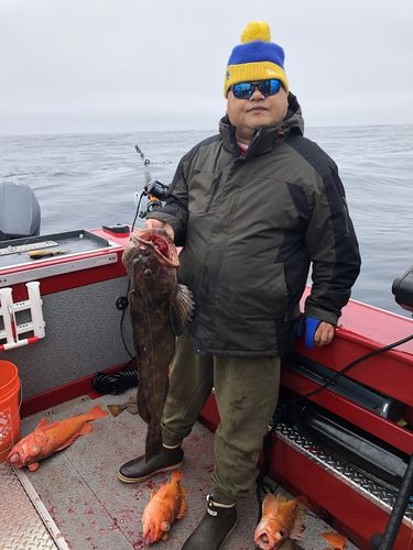 Customer photo review of Fisherman's Life® Vertical Jigs 100g, 150g, 200g, 300g FOUR COLORS available