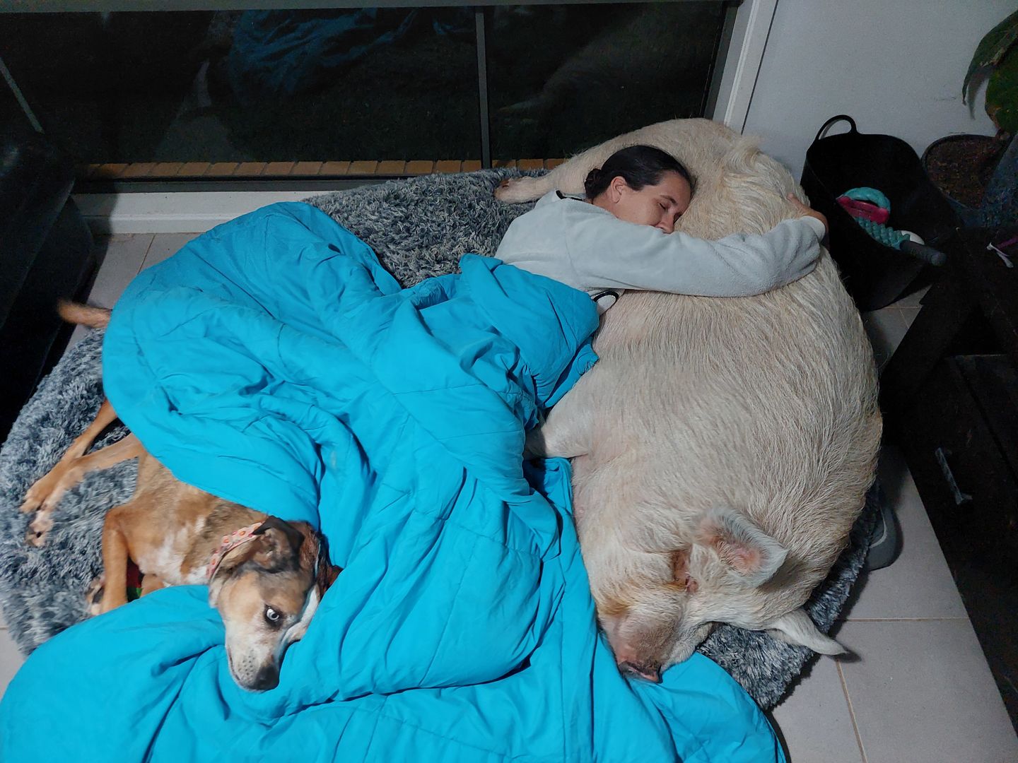 Customer photo review of The Human Size Nap Bed