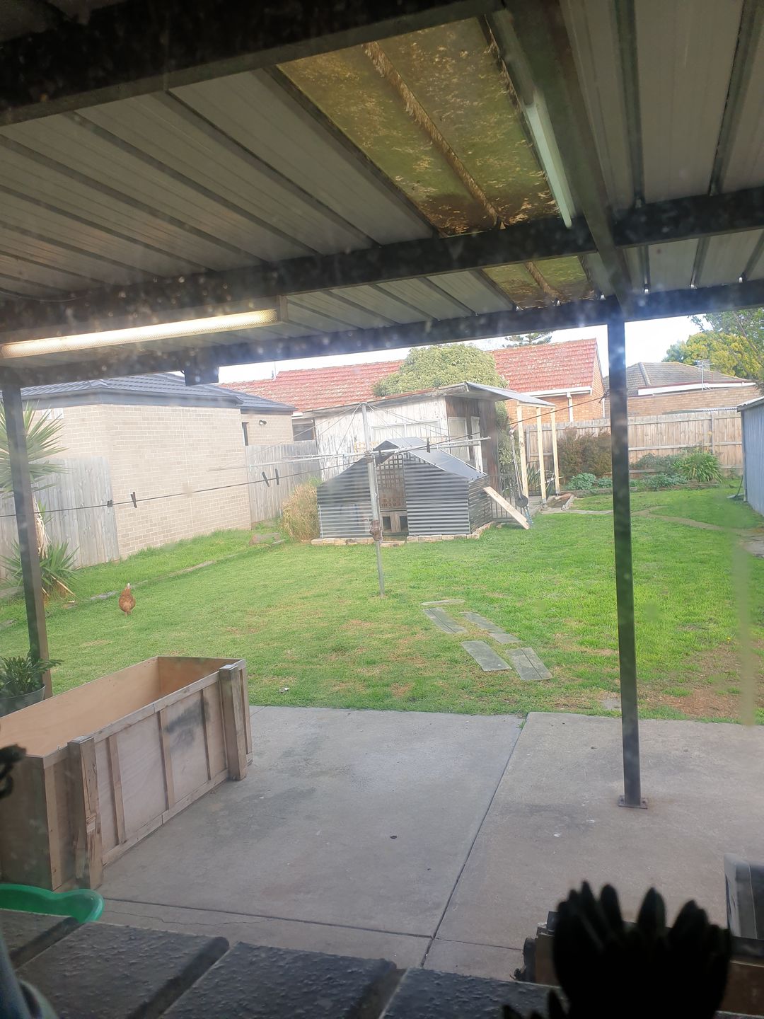 Customer photo review of Walk-in Chicken Run with Waterproof Cover 3m x 2m