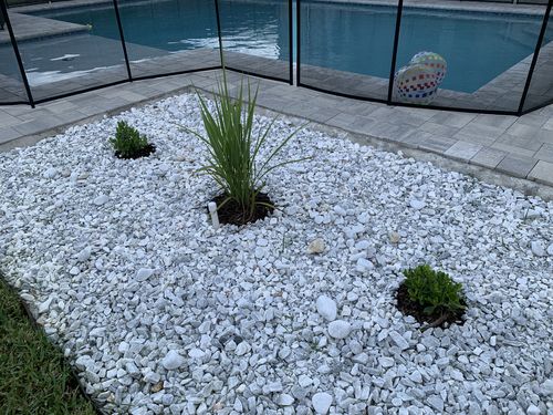 Customer photo review of Fakahatchee Grass