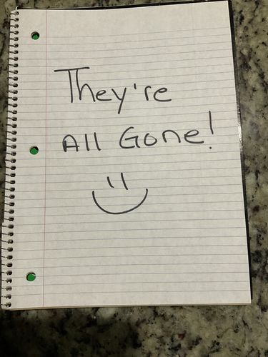 Customer photo review of True Meal Sample Pack (Variety Pack 3 Samples)