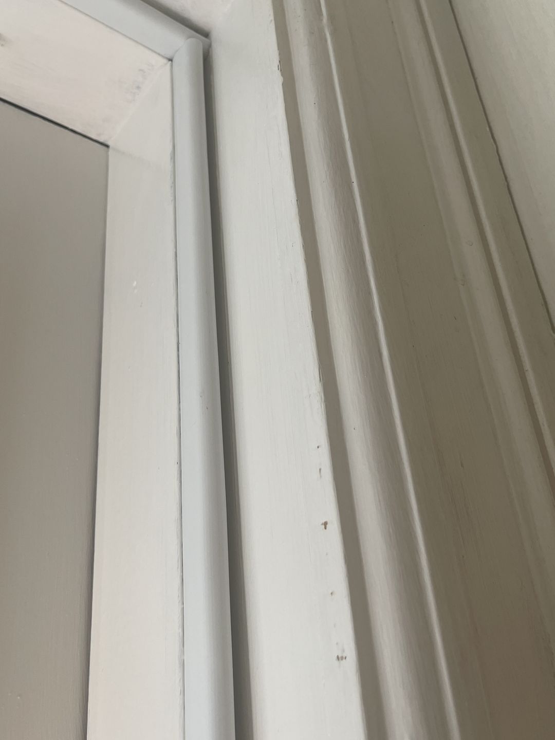 Customer photo review of 81" High Reach Compression Weatherstrip (1 piece)