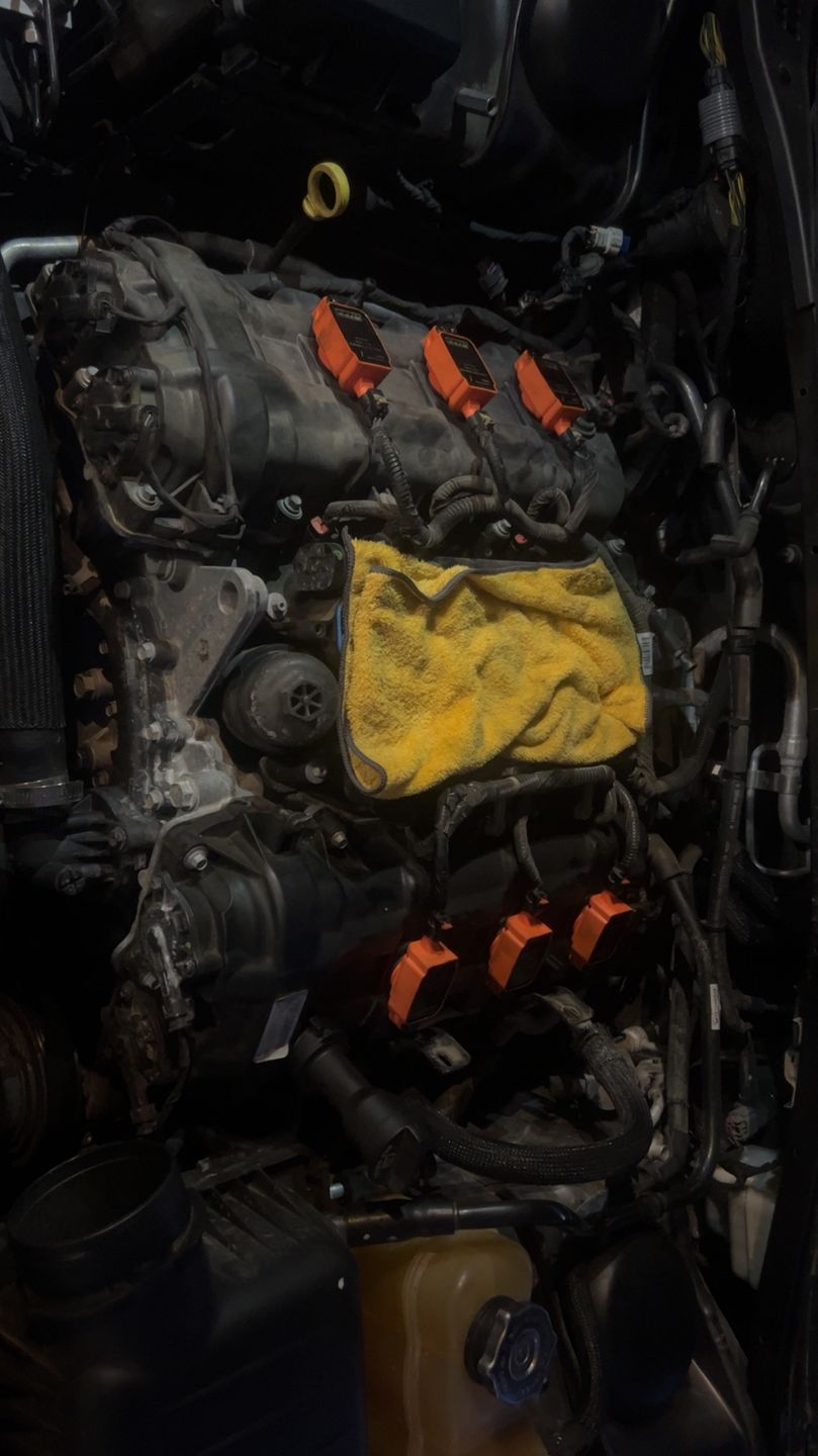 Customer photo review of RIPP High Performance Coil Packs