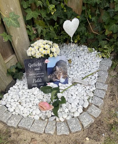 Customer photo review of Katzen Gedenktafel mit Foto & Spruch (UV- und wetterbeständig)