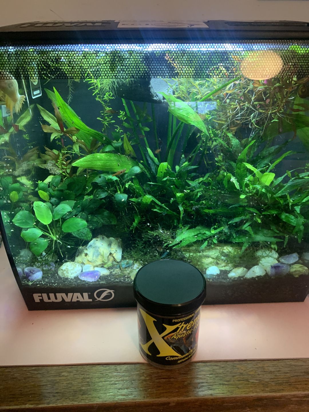 Customer photo review of Xtreme Community Crave Flakes. Krill/Spirulina