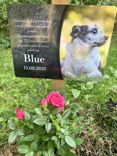 Customer photo review of Hunde Gedenktafel mit Foto & Spruch