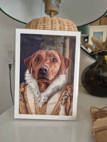 Customer photo review of The Princess - Custom Vintage Pet Portrait
