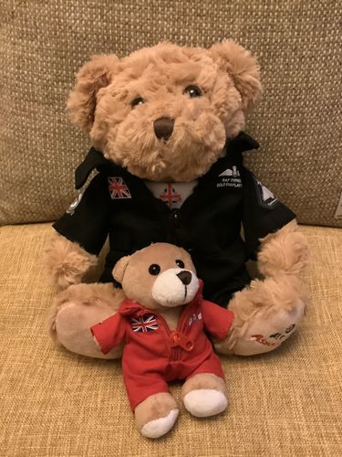 Customer photo review of Typhoon 9in Bear in Suit