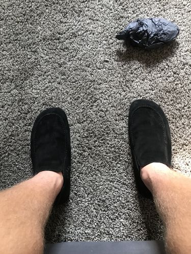 Customer photo review of Oso Suede