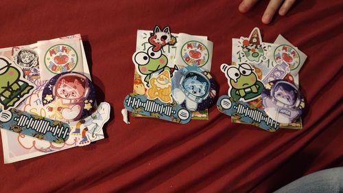 Customer photo review of Space Raccoon Buttons