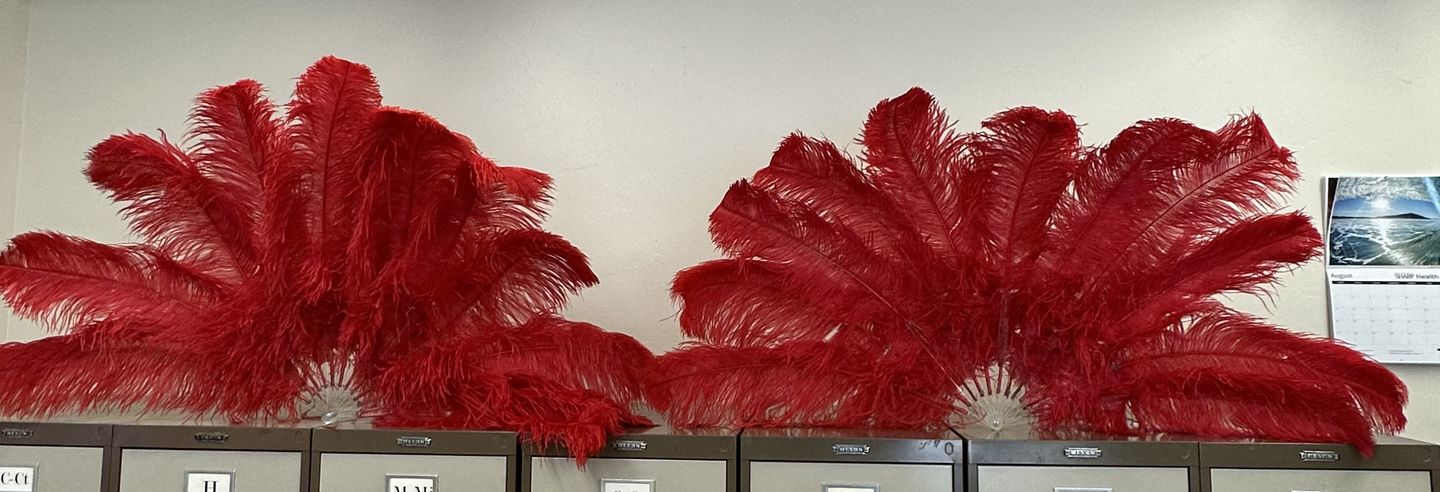 Customer photo review of Ostrich Wing Feathers | Ostrich Plumes