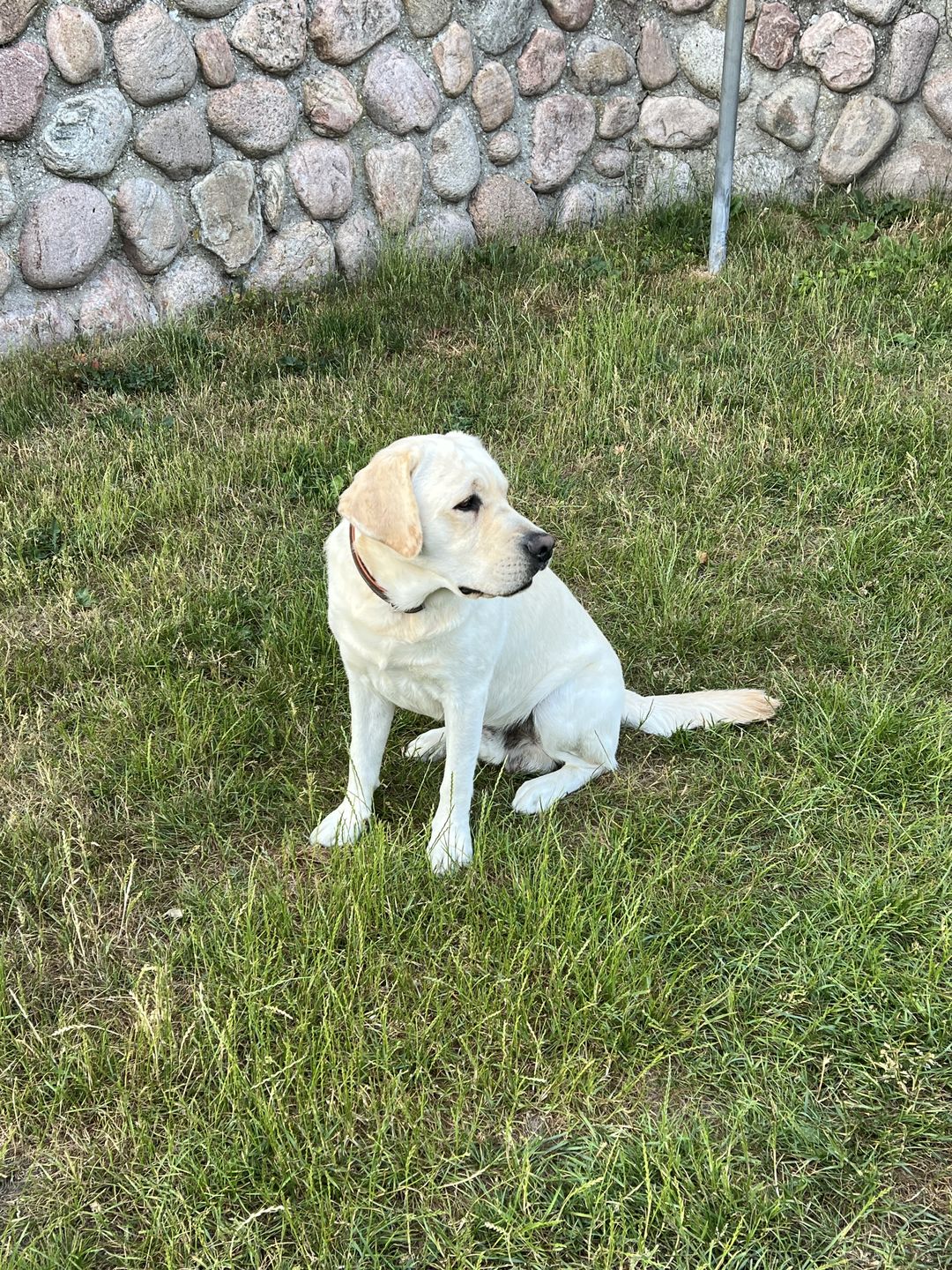 Customer photo review of Dr.Clauder's Hyposensitive All Breed And & Kartofler 11,5kg