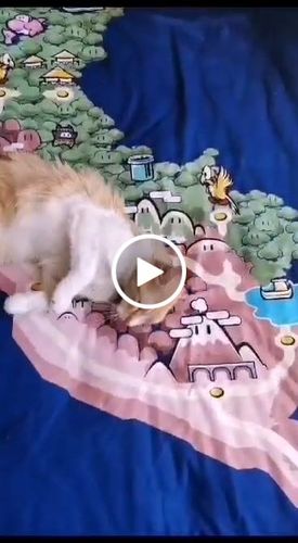 Customer video review of Manta Polar Perú World