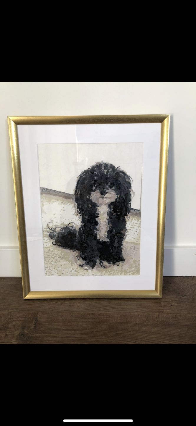 Customer photo review of Custom Paint by Numbers Kit | Just Upload Your Photo!