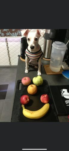 Customer photo review of Yasai Kobo Facial Foam