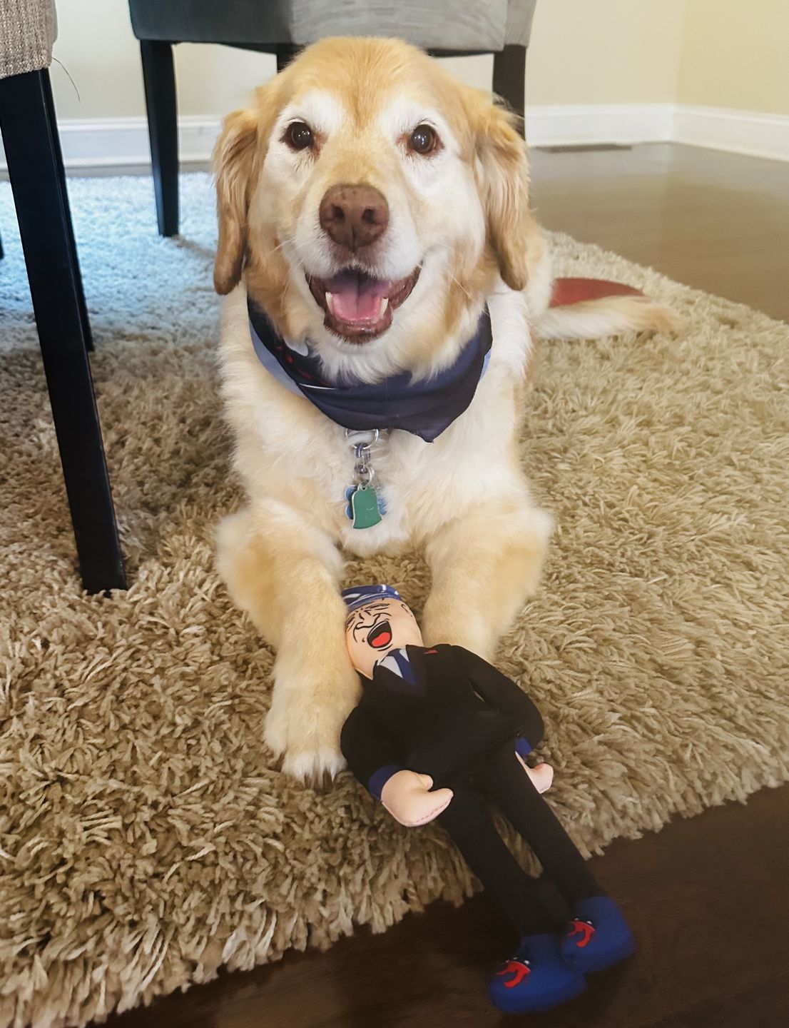 Customer photo review of Joe Biden Kamala Harris & Nancy Pelosi Starter Pack Tough Plush Dog Chew Toys with Squeakers - Official Republican Dogs