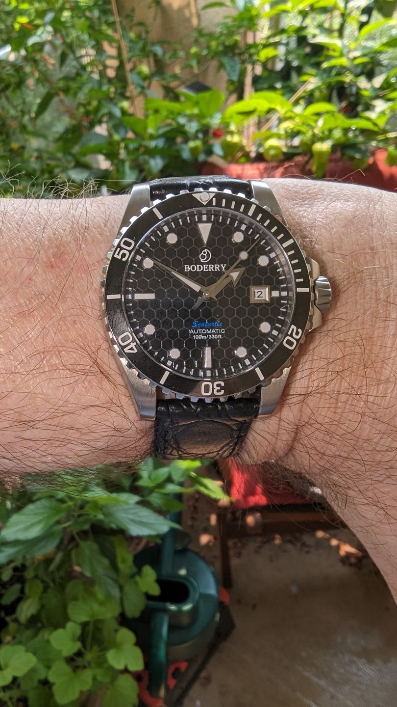 Customer photo review of SEATURTLE.OCEAN(TITANIUM) - Automatic Titanium Diver Watch | Black
