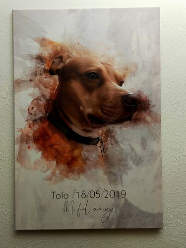 Customer photo review of Foto de tu mascota en estilo acuarela | Regalo para cachorros, perros y gatos