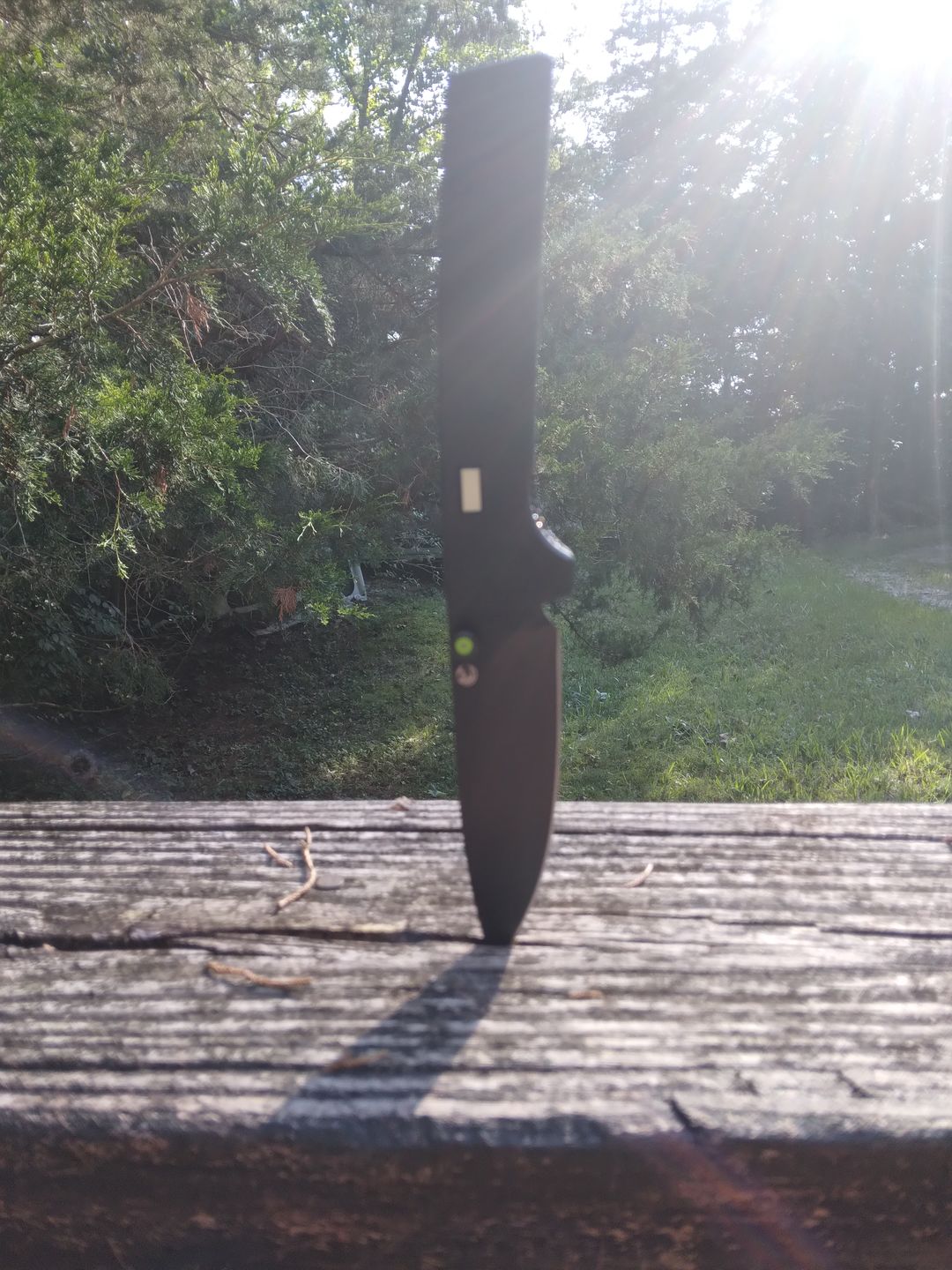 Customer photo review of The Fermi