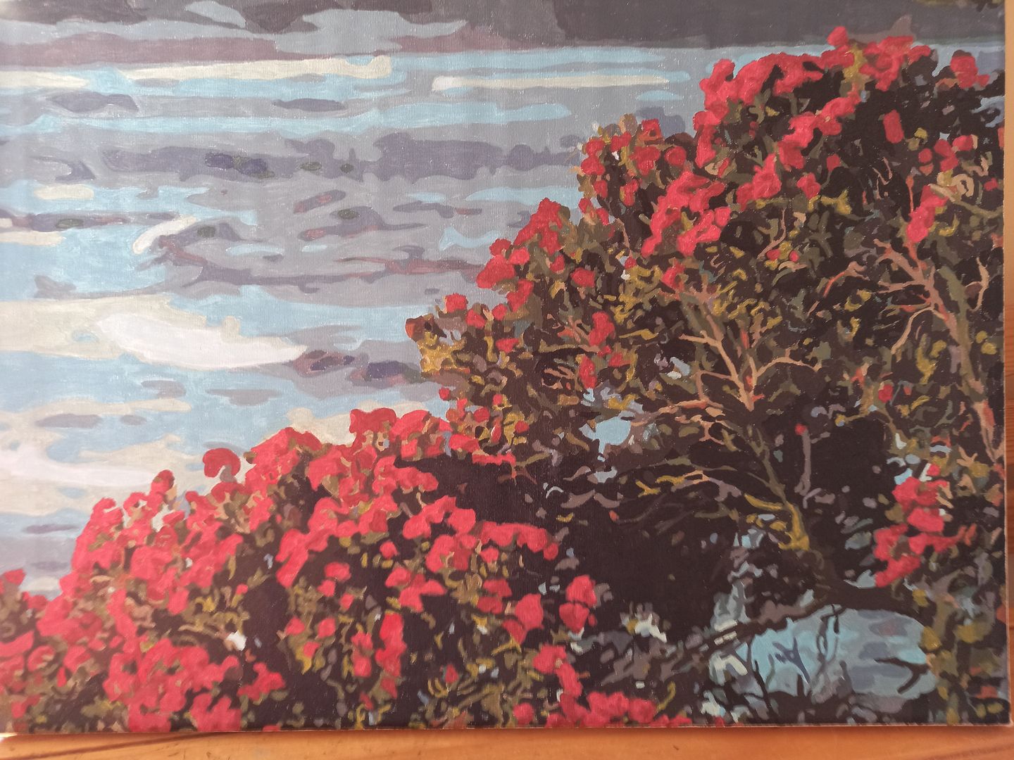 Customer photo review of Pohutukawa Tree