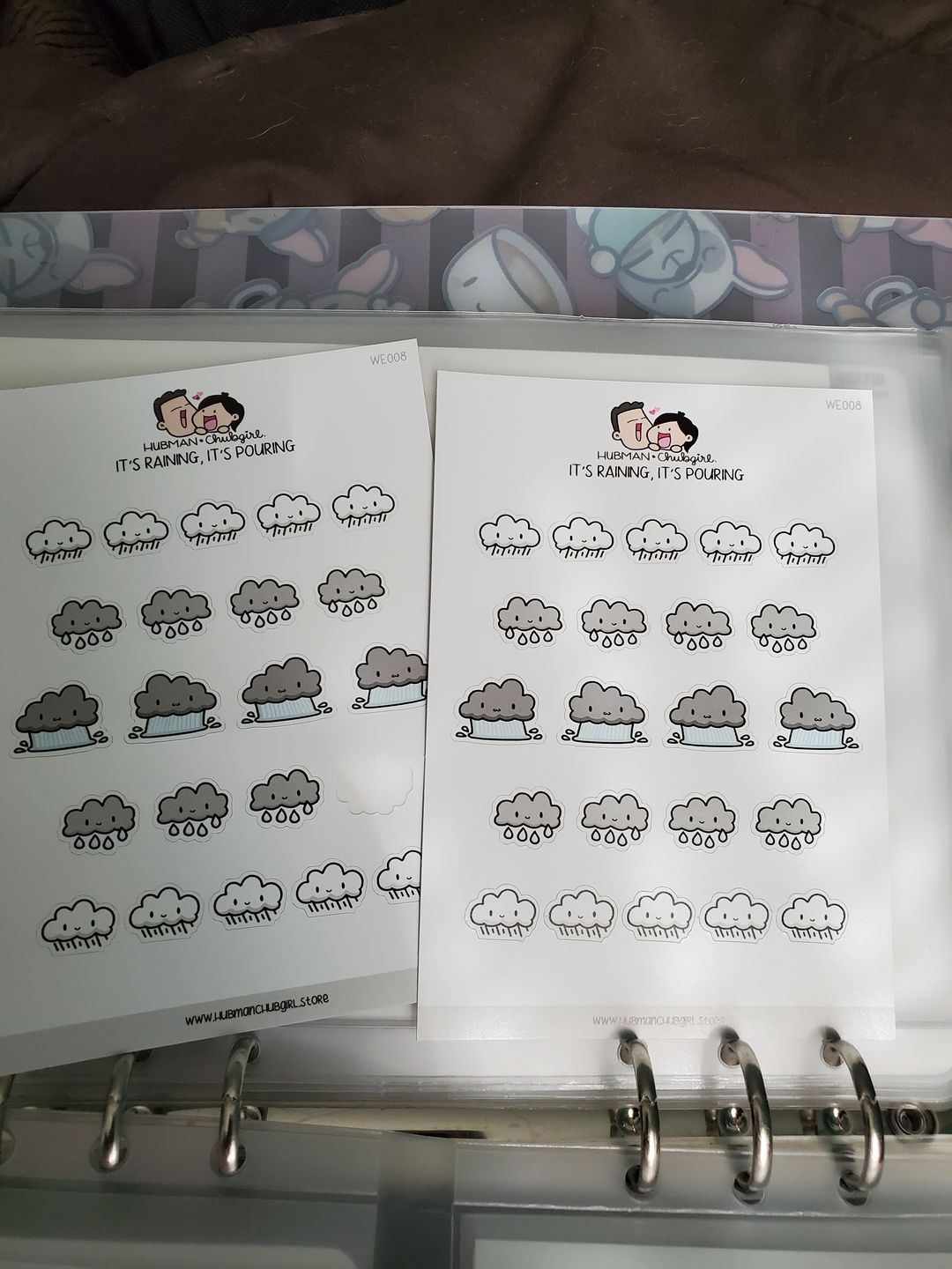 Customer photo review of It's Raining, It's Pouring Planner Stickers