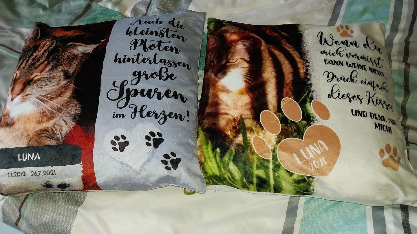 Customer photo review of Die kleinsten Pfoten - Individuelles Kissen