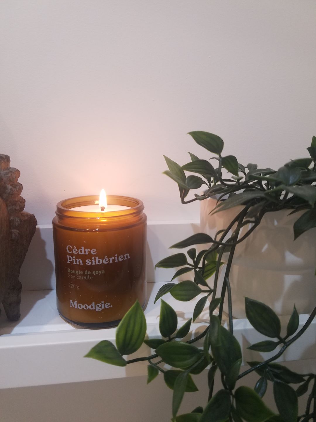 Customer photo review of Cèdre + Pin sibérien