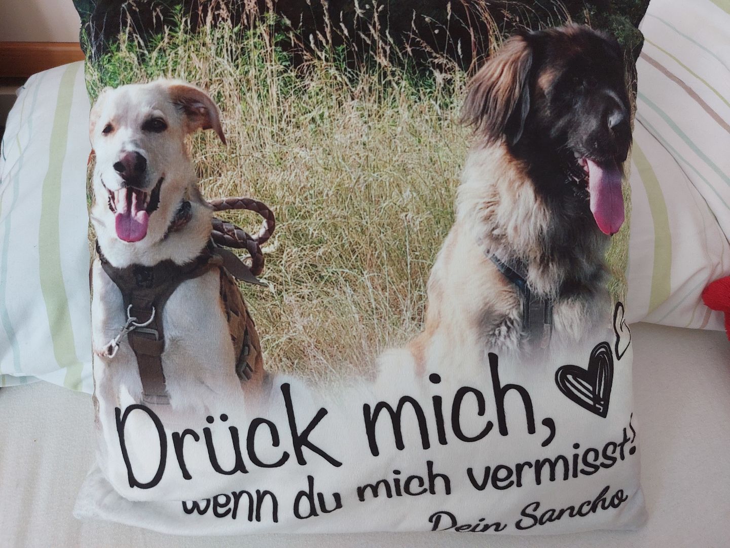 Customer photo review of Wenn du mich vermisst - Paar-Kissen