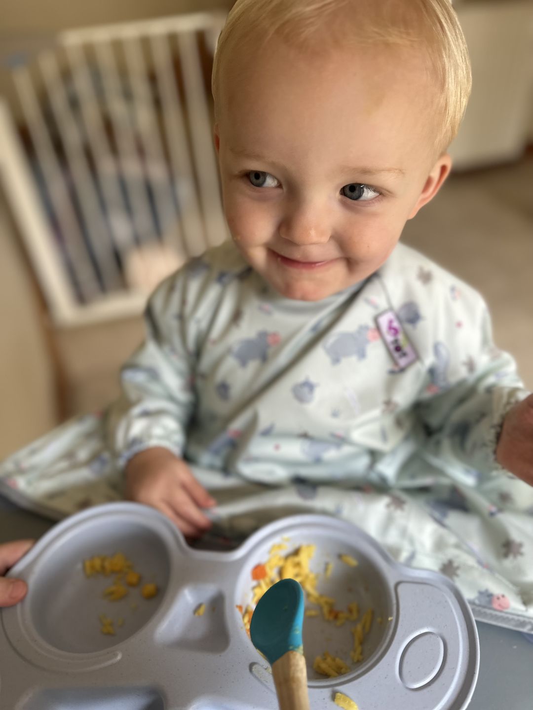 Customer photo review of Cover & Catch Bib