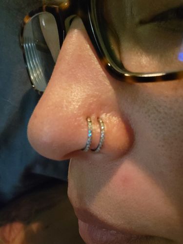 Customer photo review of Titanium Micro Gem Hinged Nose Hoop