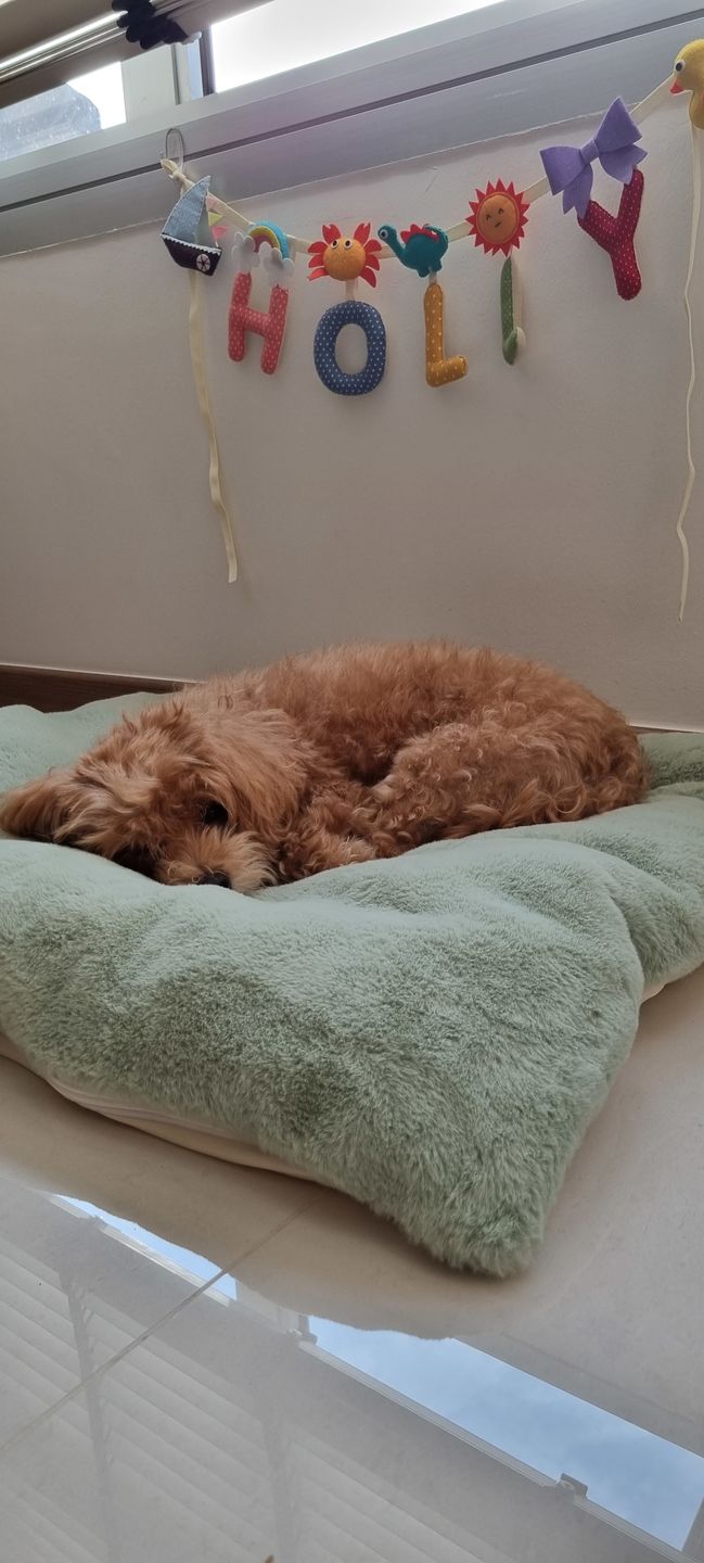 Customer photo review of Sleeping Blanket (𝗡𝗘𝗪 𝗖𝗢𝗟𝗢𝗨𝗥)