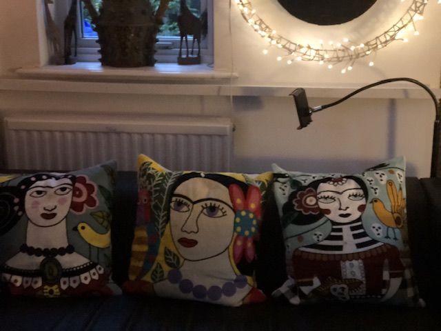 Customer photo review of Frida Kahlo Embroidery pillow Cases