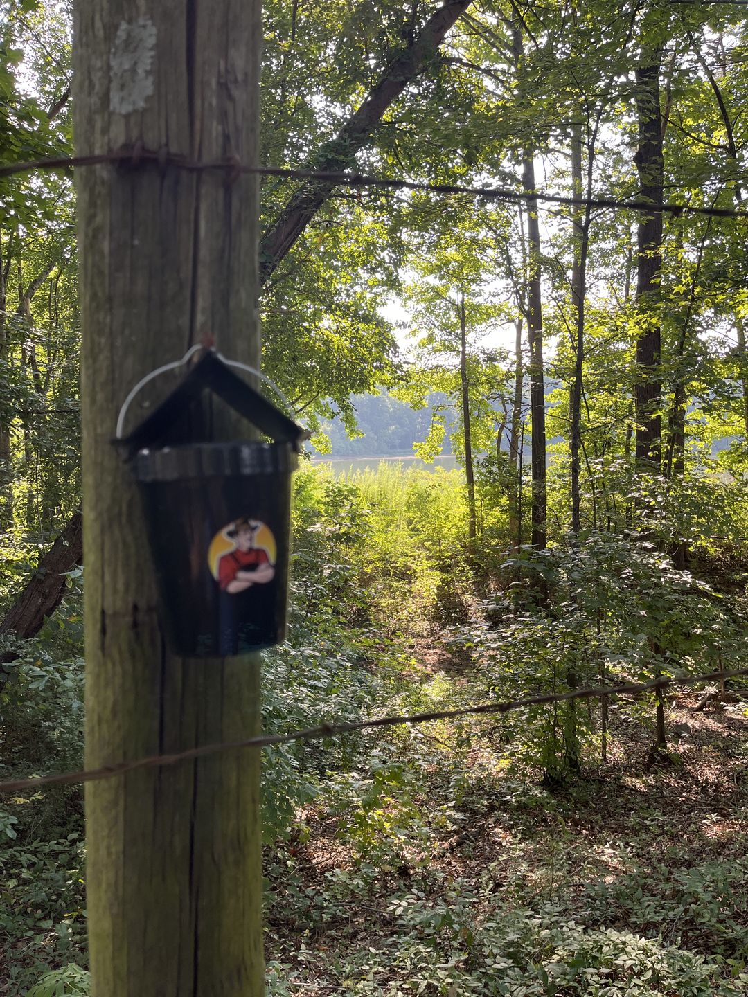 Customer photo review of Mosquito TNT Refill Pack