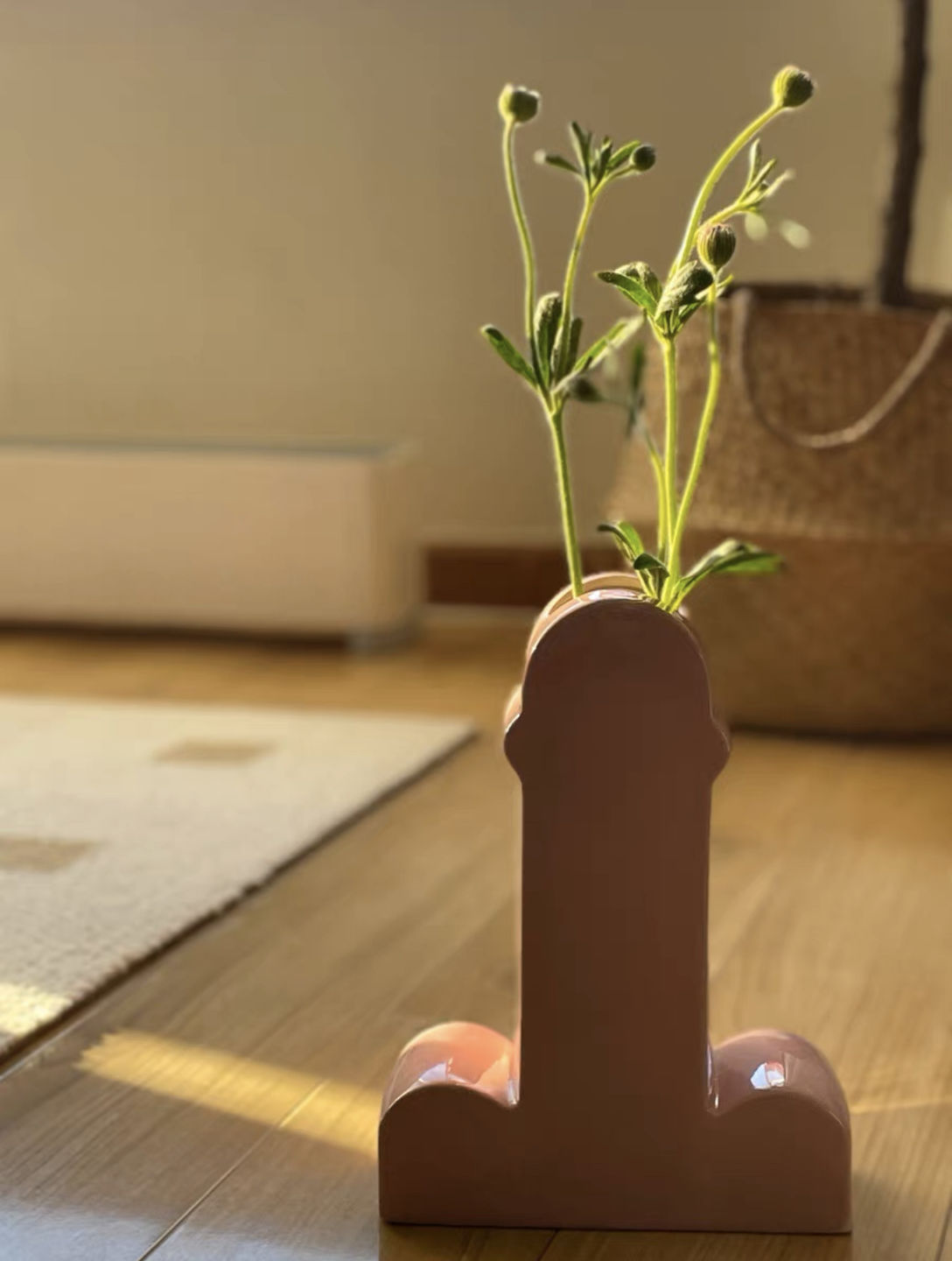 Customer photo review of Handmade Memphis Ceramic Dick Vase | Decorative & Unique Vases