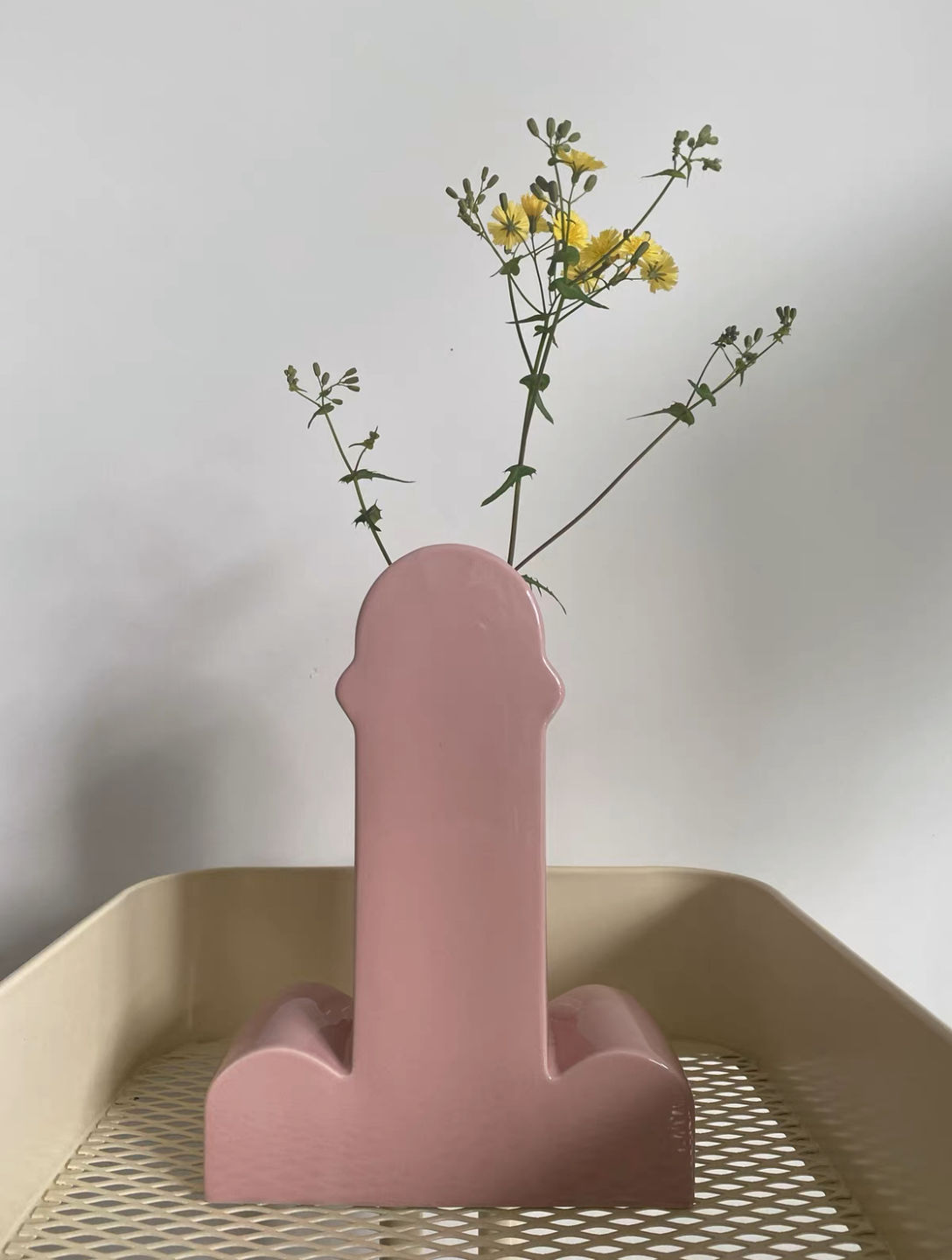 Customer photo review of Handmade Memphis Ceramic Dick Vase | Decorative & Unique Vases