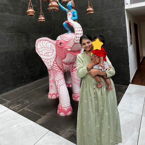 Customer photo review of Pista Green Butterflies Handloom Maxi Dress