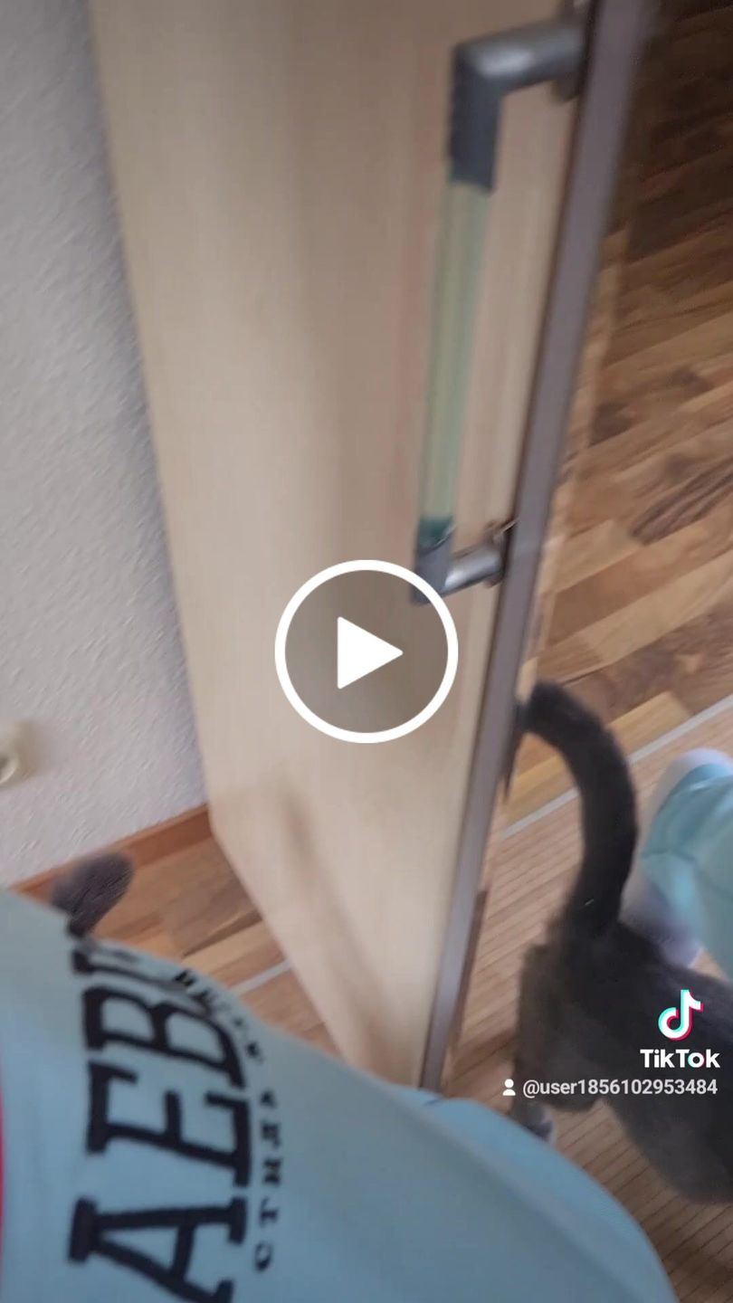 Customer video review of Lifestyle Damen T-Shirt Kleid cremefarben by SAEBIS®