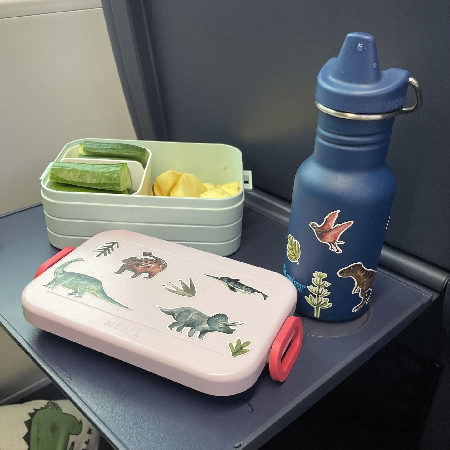 Customer photo review of spülmaschinenfeste Sticker "Dinos"
