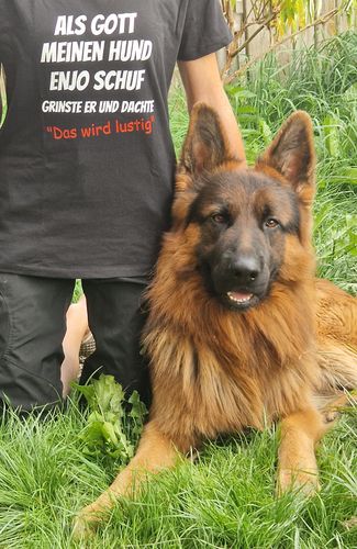 Customer photo review of Als Gott meinen Hund schuf - Personalisierbares Damen T-Shirt