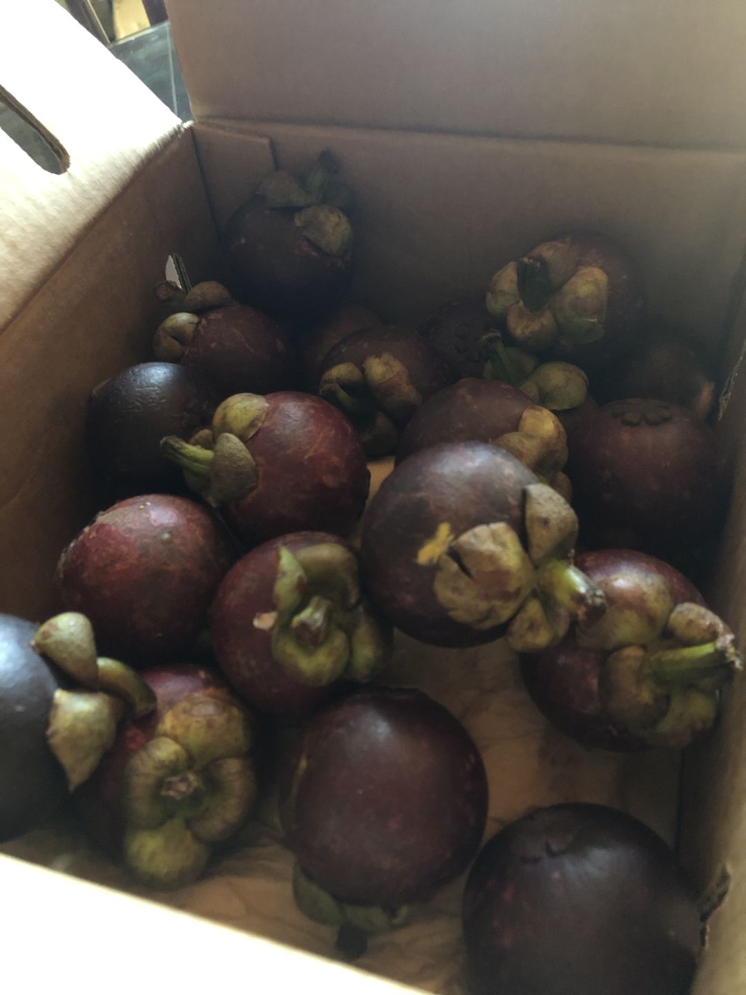 Customer photo review of Mangosteen Box